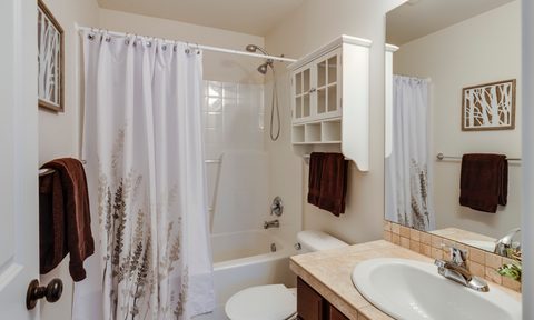 Bathroom with shower curtain
