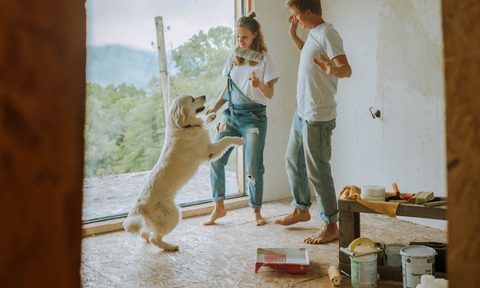 couple painting with dog