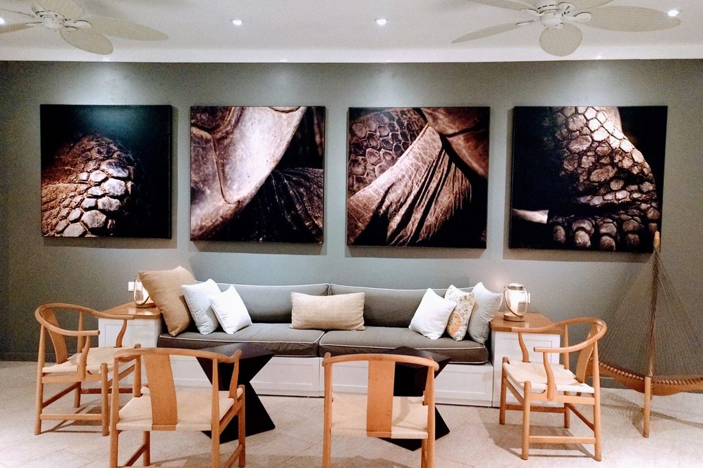 neutral walls with bold artwork