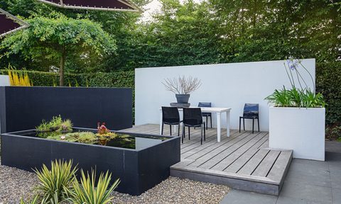modern landscaped backyard
