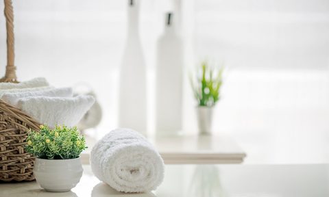 Rolled towels and plant in bathroom
