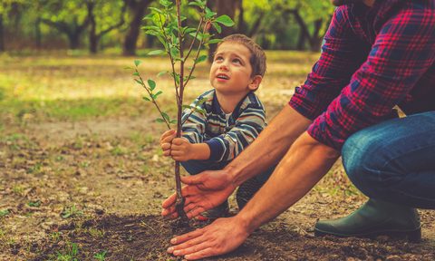 child planting tree