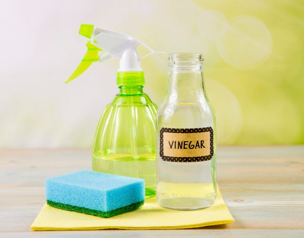 vinegar cleaning solution with spray bottle and sponge