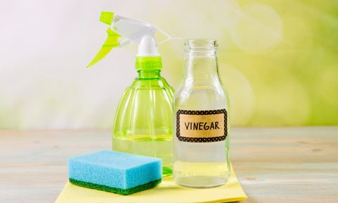 Vinegar cleaning solution with spray bottle and sponge