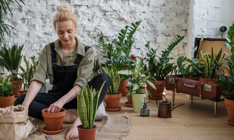 woman repotting plants