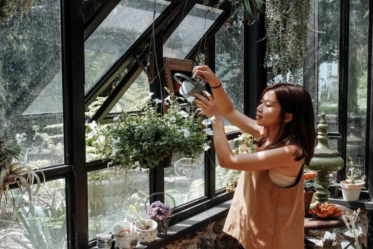 planting in a greenhouse