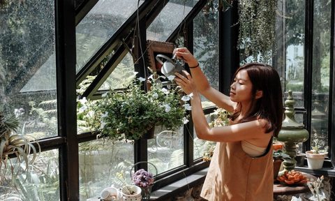 6 simple projects to celebrate national gardening week in greenhouse