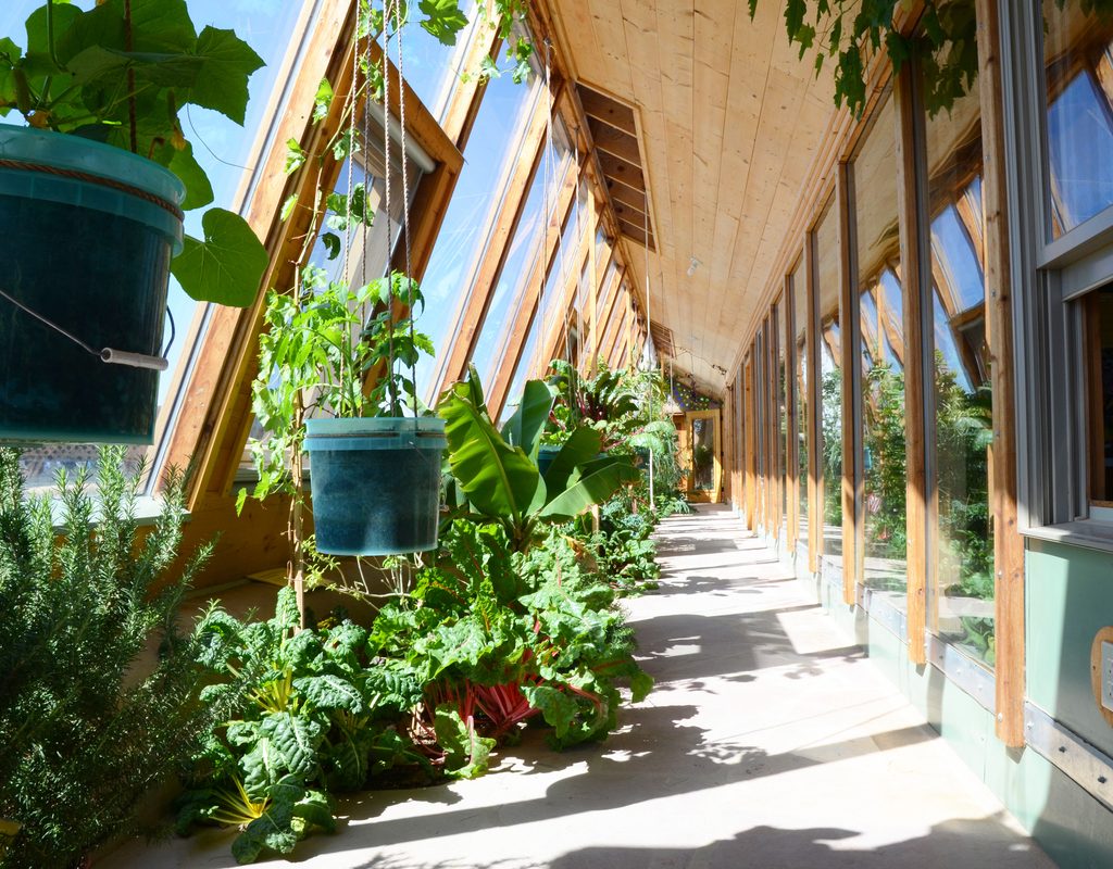 sunroom with plants near windows