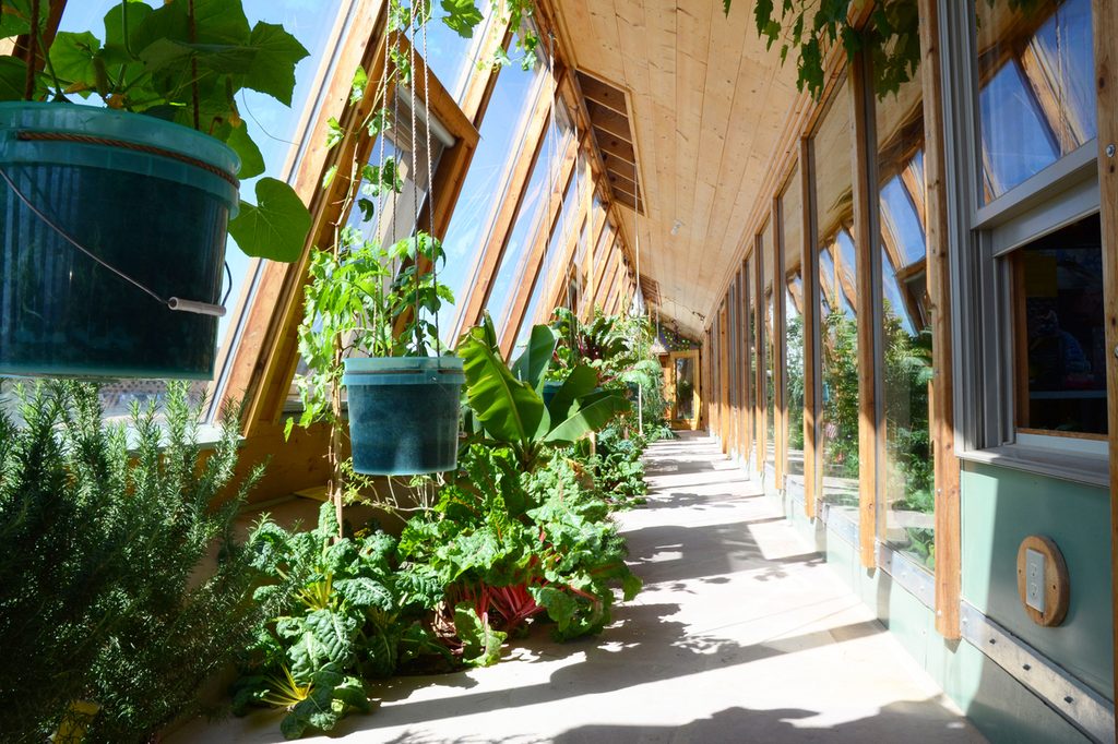 Sunroom with plants near windows