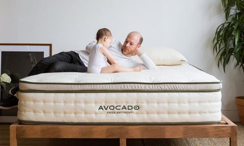 best organic mattresses avocado