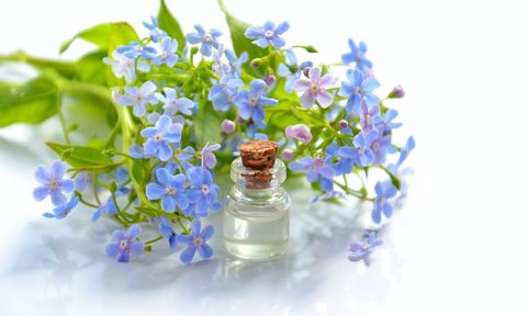 essential oils to make the home smell pleasant