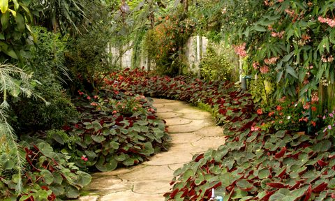 landscaping reality check for homeowners pexels photo 130154