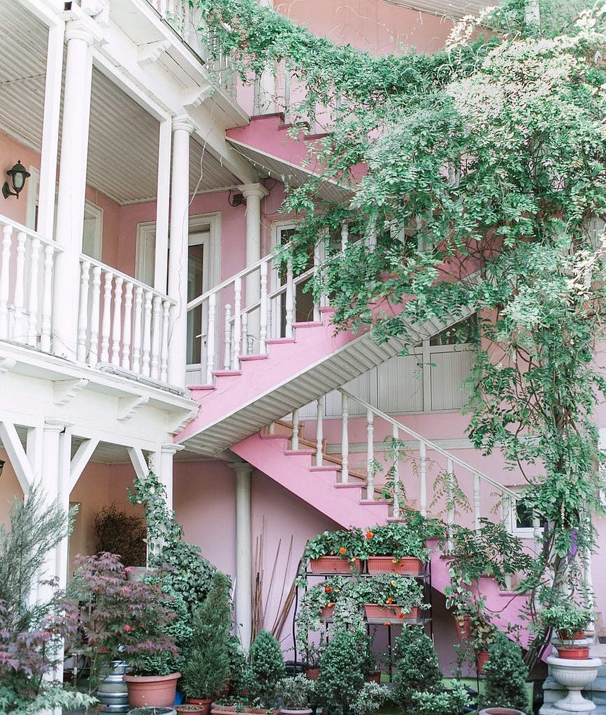 stairs and plants