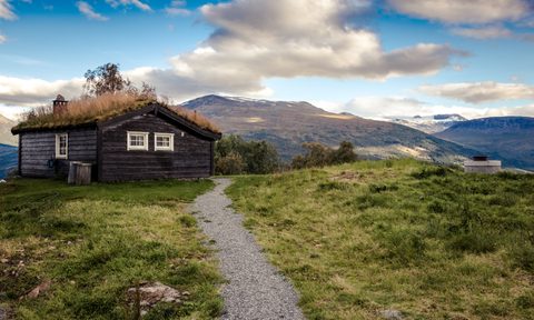 Brown and beige cabin and path