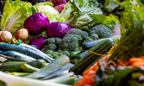 assorted fall vegetables-harvest