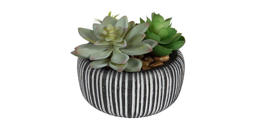 Better Homes & Gardens Black Stone Faux Succulent on a white background.