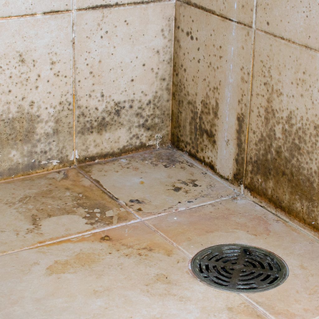 Mold growing in a shower