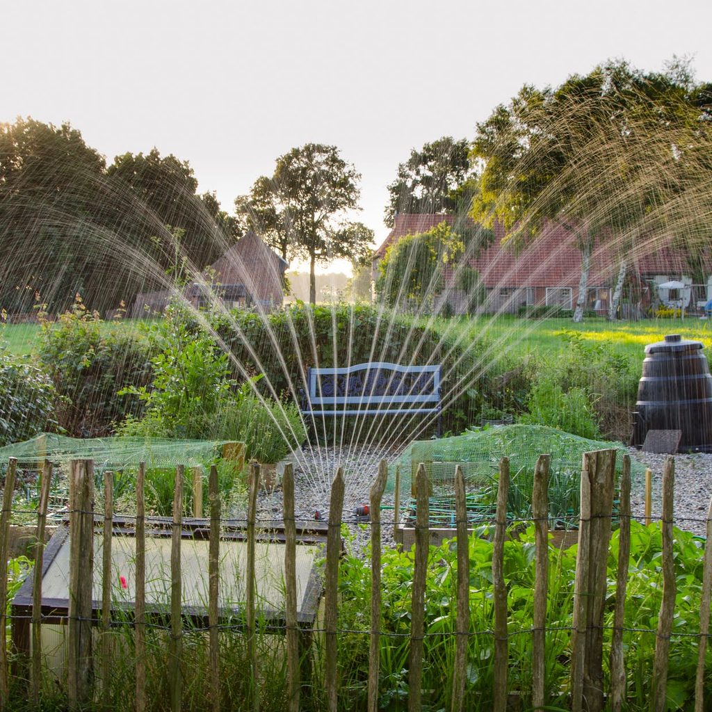 sprinkler watering garden