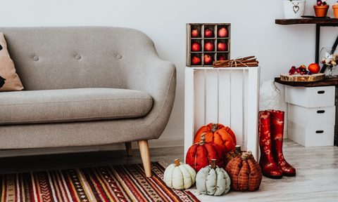 Gray modern sofa with fall decorations