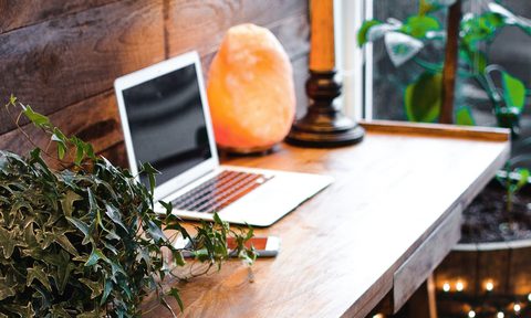 Himalayan salt lamp and plants on office desk