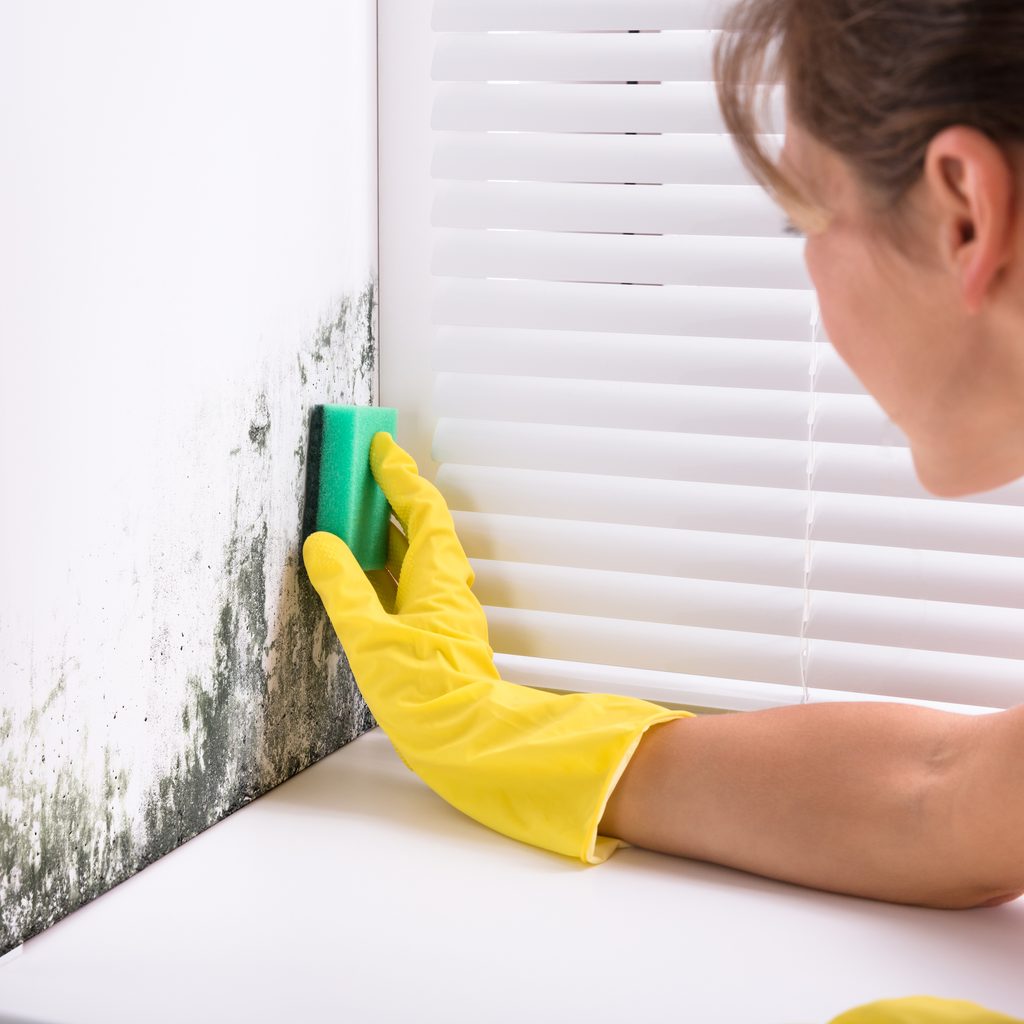 Woman scrubbing mold growth