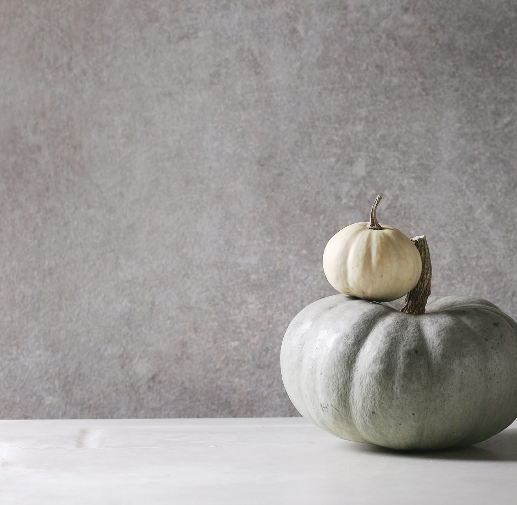 Two simple fall decor pumpkins in white and gray