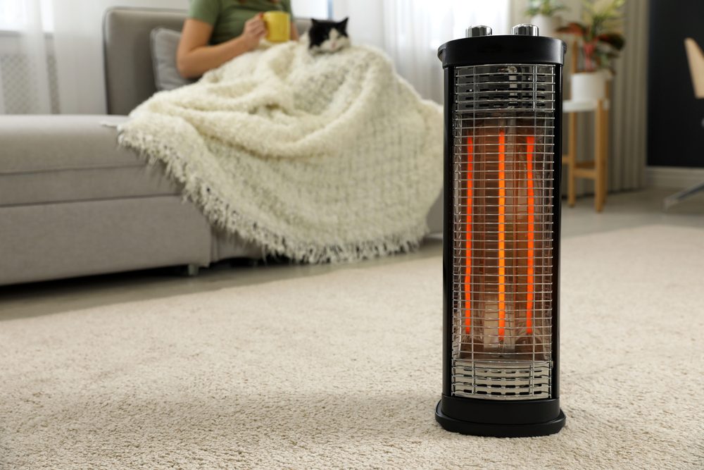 Space heater in living room where woman and cat are sitting