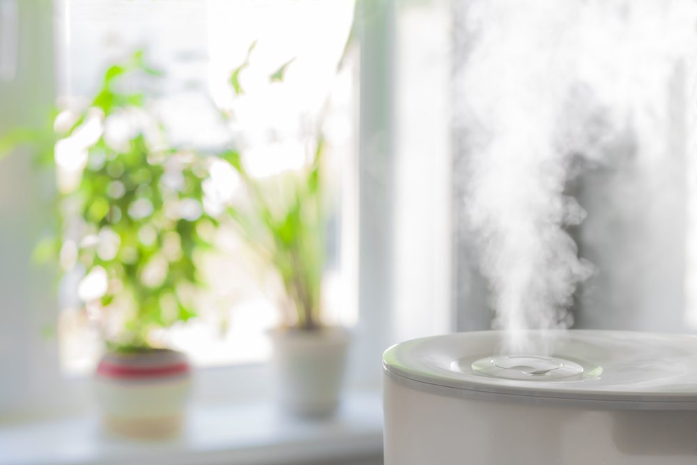 closeup of humidifier steam with house plants in the background