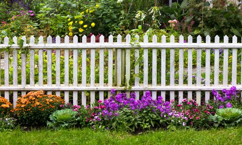 White picket fence with flower bushes