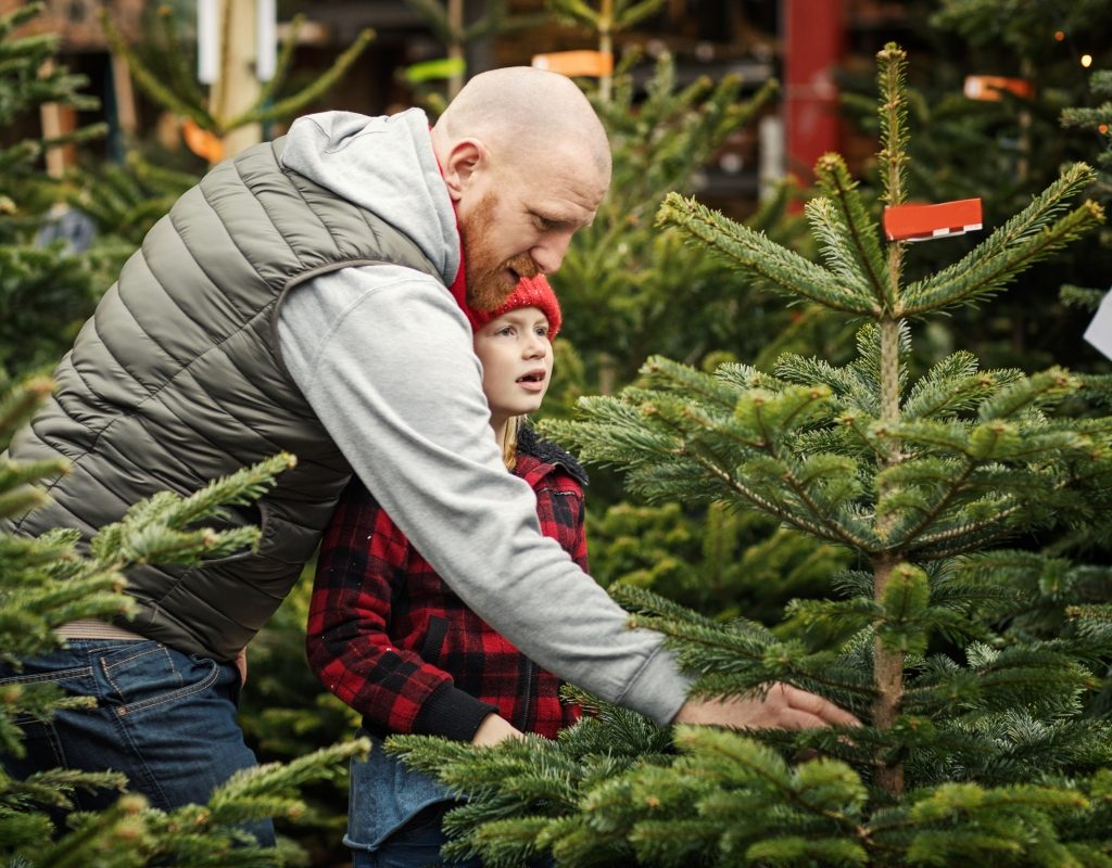 a father and son deciding on a real christmas tree