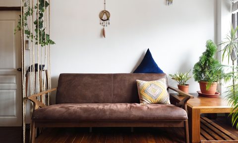 futon with plant decor in living room