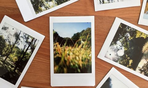 photos on table