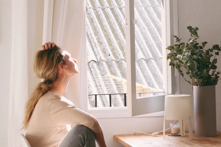 woman sitting at table &ndash; window &ndash; plant