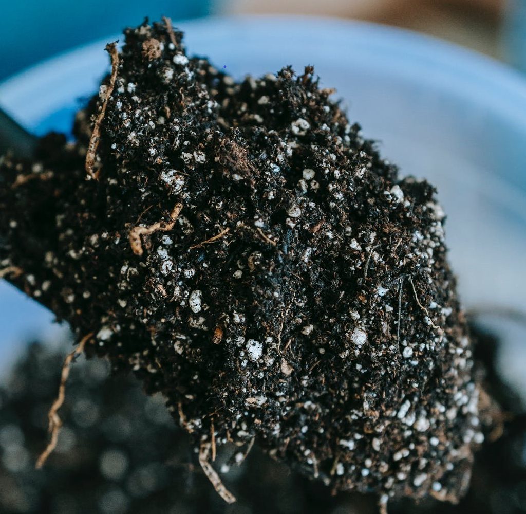 potting soil