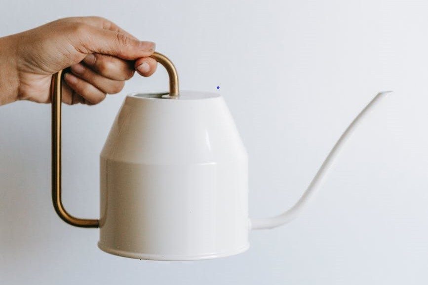 White watering can