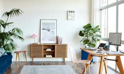 plants and large windows in office space
