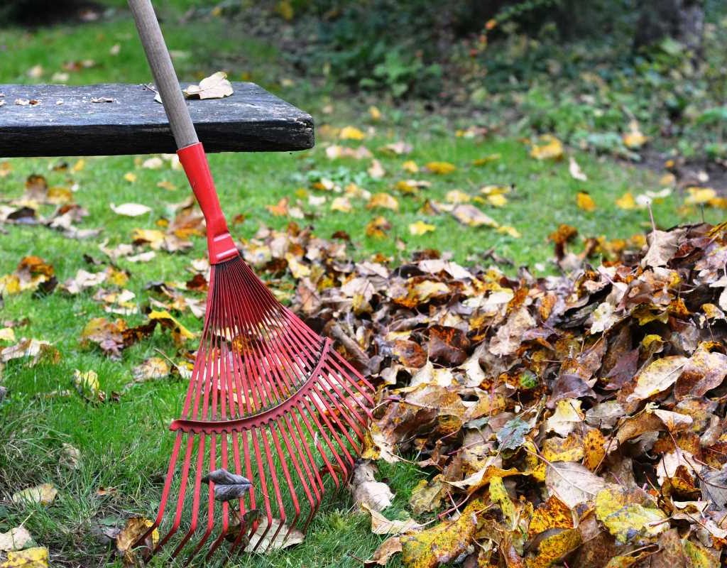 person raking autumn leaves in grass