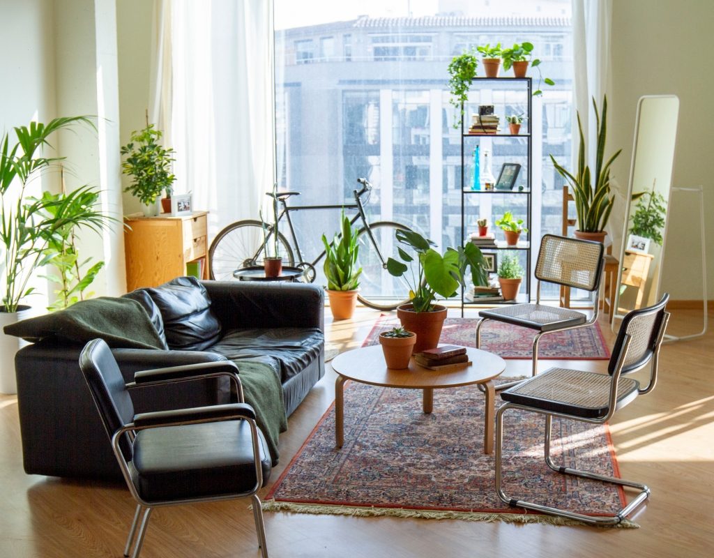 small living room with tiny rug and decorative plants