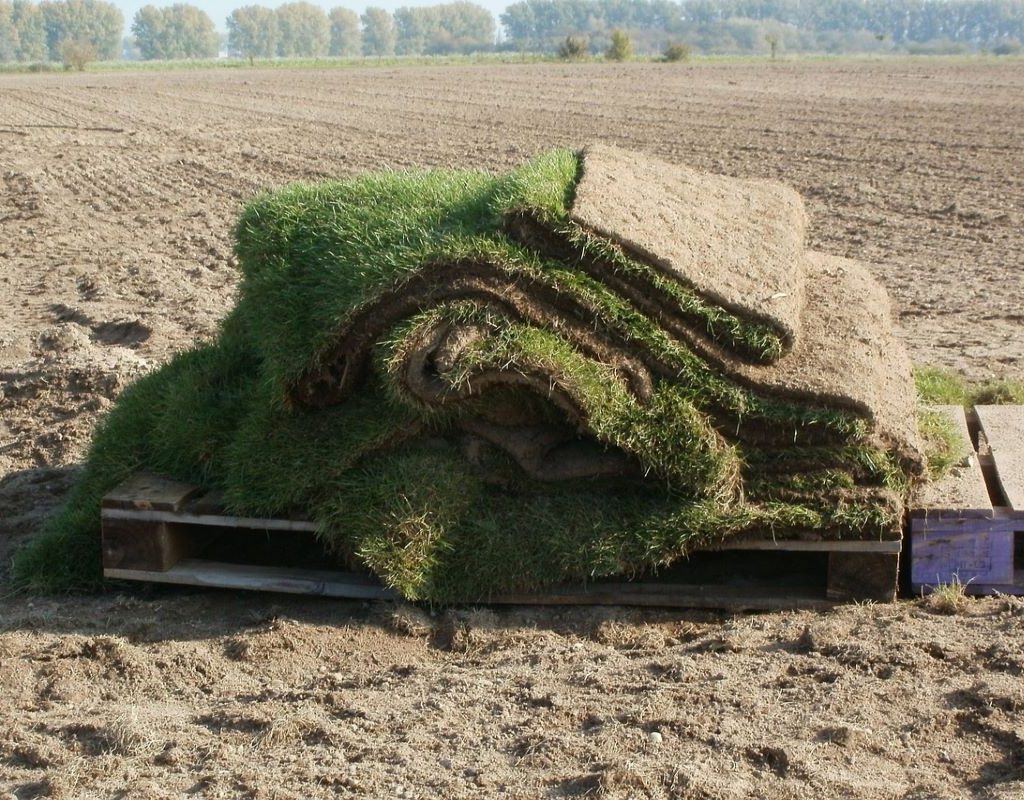 Sod pieces laying on a pallet
