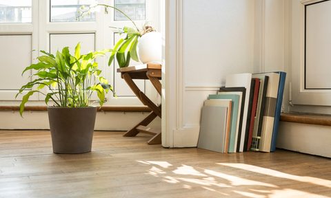 bleached light wood flooring in an entryway