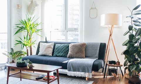 blue modern sofa in contemporary home design