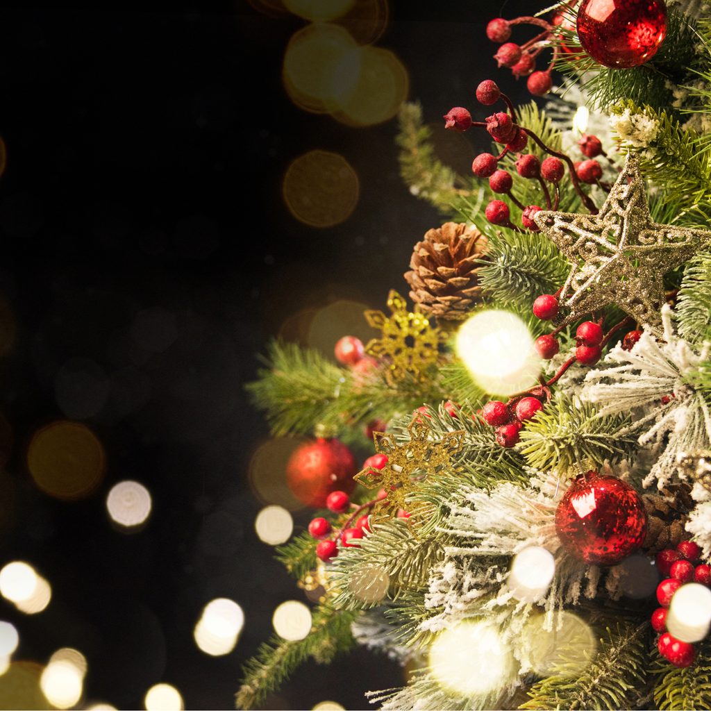 Christmas tree pine cones