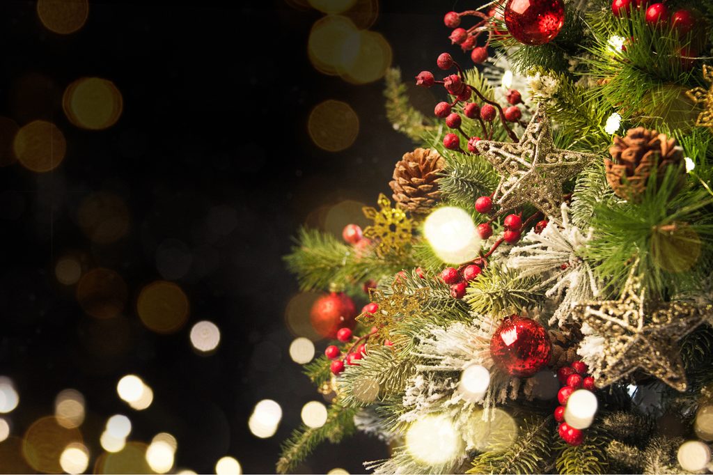 Christmas tree pine cones