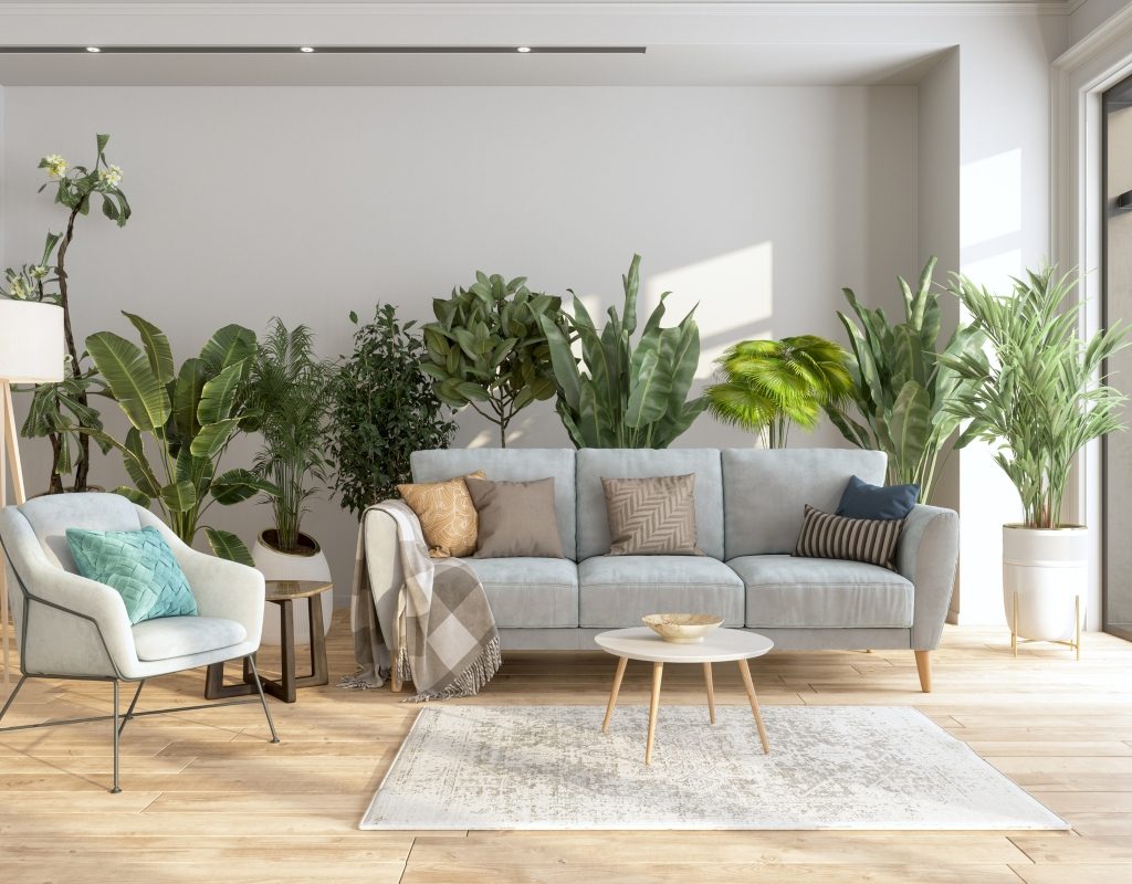 modern living room with lots of plants for decor