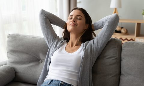 home air purifier shutterstock 1562123215