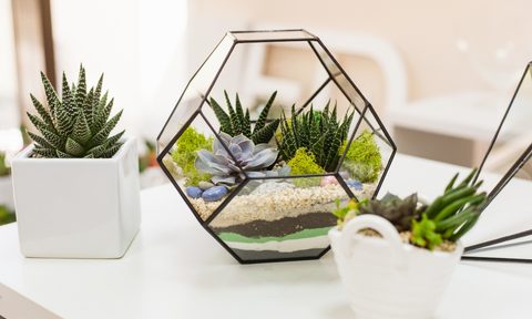 decorative glass terrarium home decor on a table