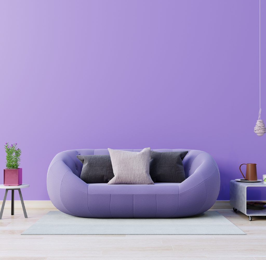Living room with purple couch and walls
