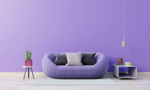Living room with purple couch and walls