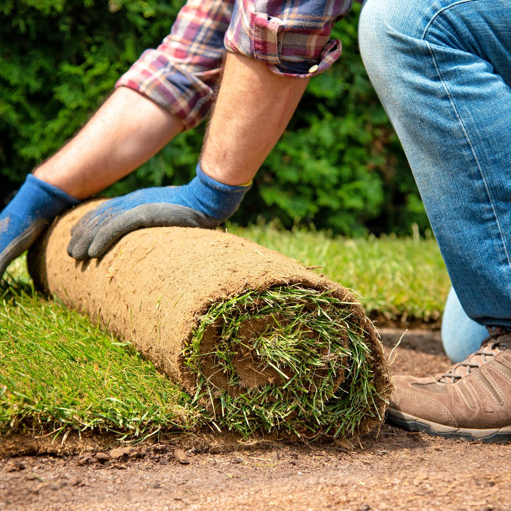 Man laying sod over dirt