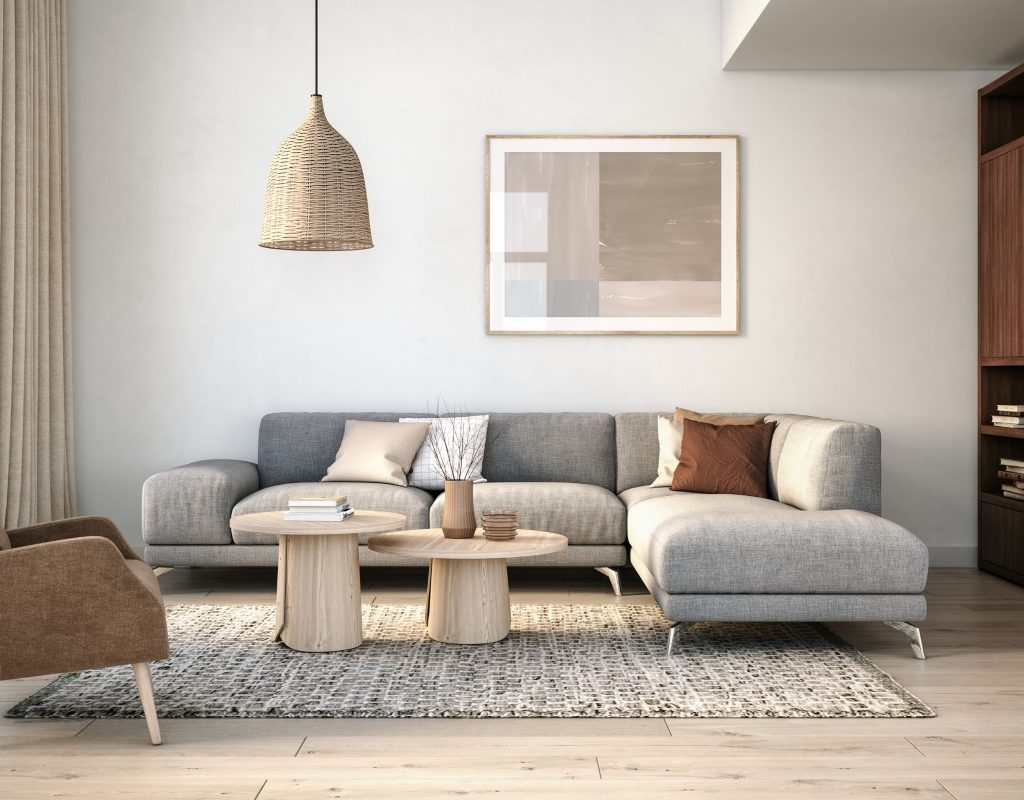 Modern Scandinavian living room style